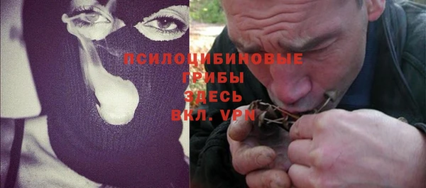 дмт Алексеевка