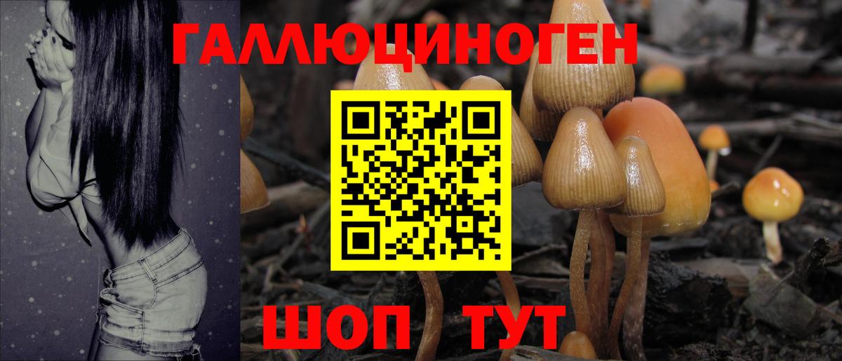 Галлюциногенные грибы мицелий Бийск